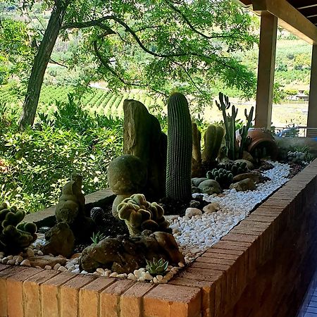 B&B Land & Sea Campofilone Kültér fotó